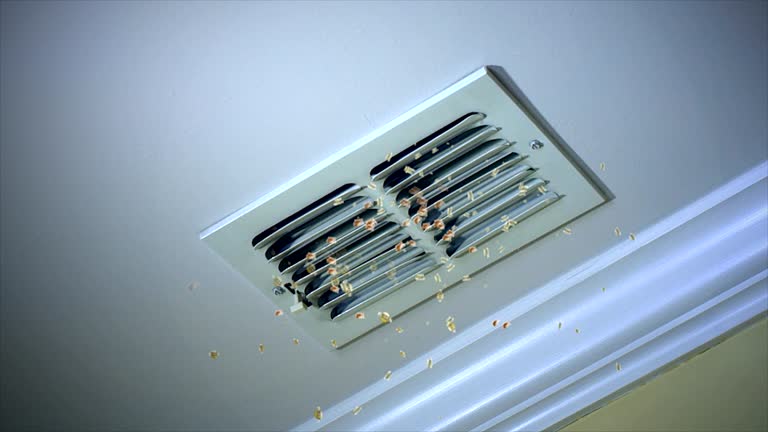 Best HVAC Duct Inspection Services  in Madison, OH