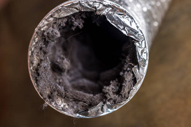 Best Ventilation Cleaning Services  in Madison, OH